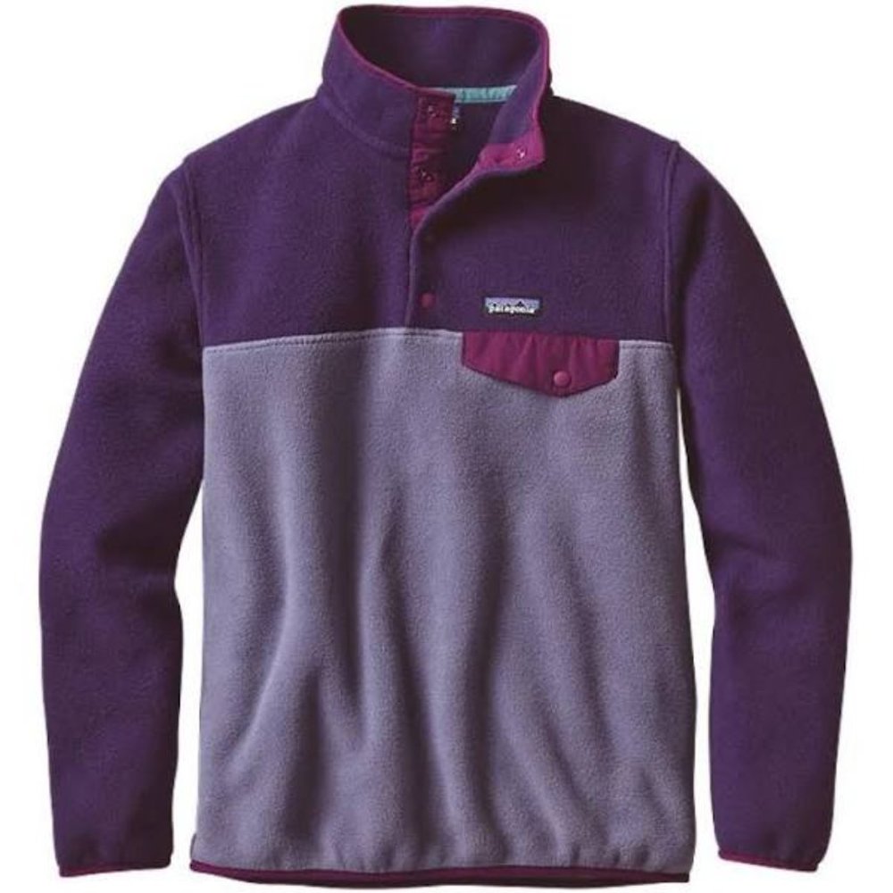 RARE Patagonia Synchilla Pullover Fleece in Purple